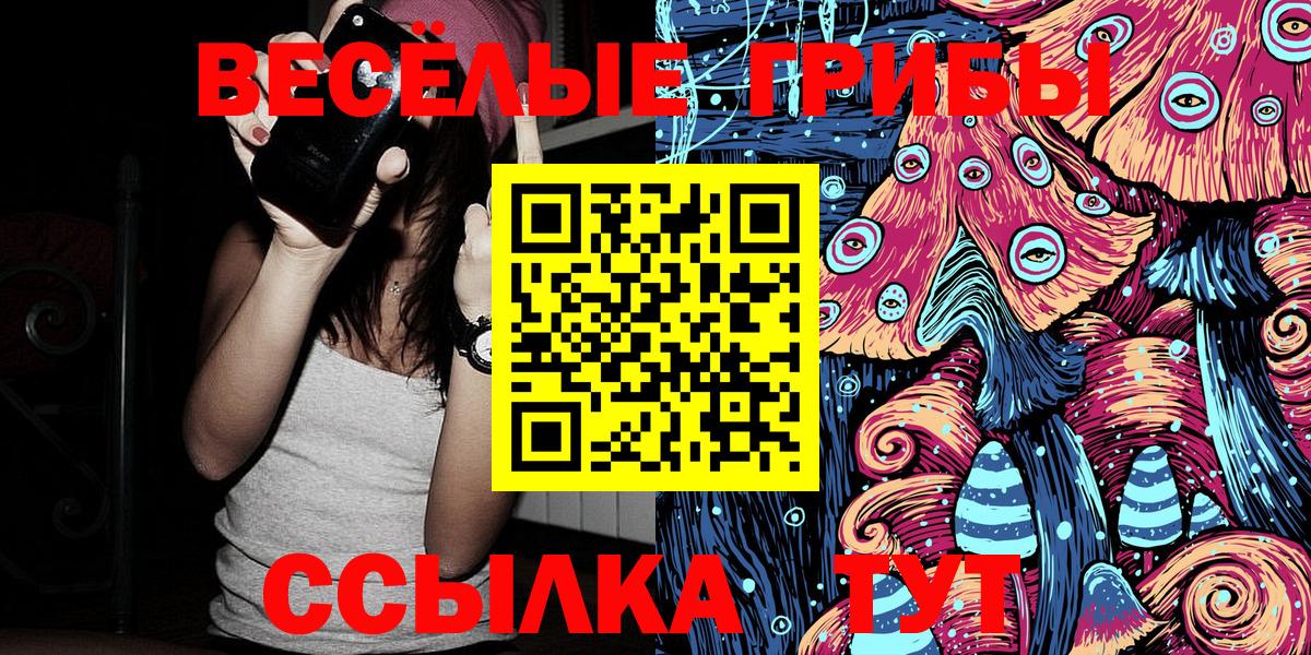 Кашира  наркотики  Галлюциногенные грибы мухоморы  Вход с VPN  Псилоцибиновые грибы мицелий 