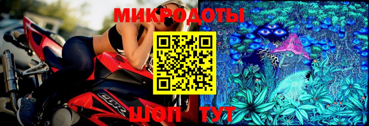 Псилоцибиновые грибы Psilocybine cubensis Кашира